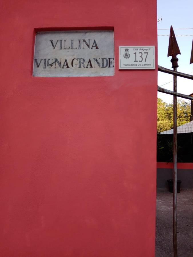 B&B Vigna Grande Агрополі Екстер'єр фото